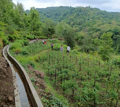Maalbase deki bhir gaun hudai tersogaun aaoune Irrigation Project, Ilam-10.jpg
