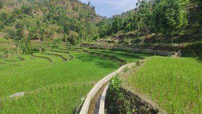 Hulma Tintale Muhan Mahajini Debithan Sinchai, Rautamai RM-08.jpg